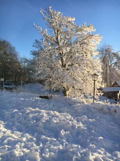 Berggasthof Zum Steira Schotten Eksteriør bilde