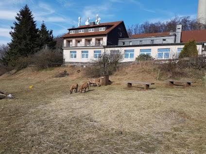 Berggasthof Zum Steira Schotten Eksteriør bilde